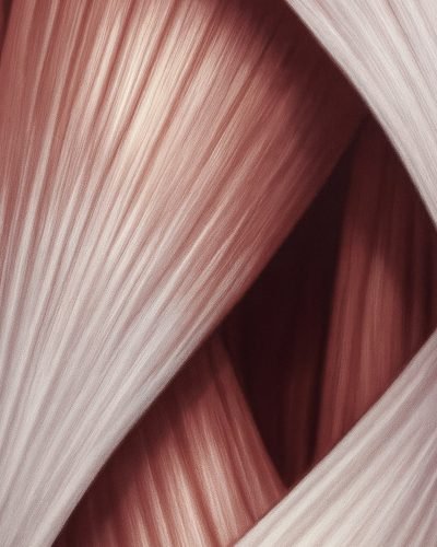 Frame 2147227106